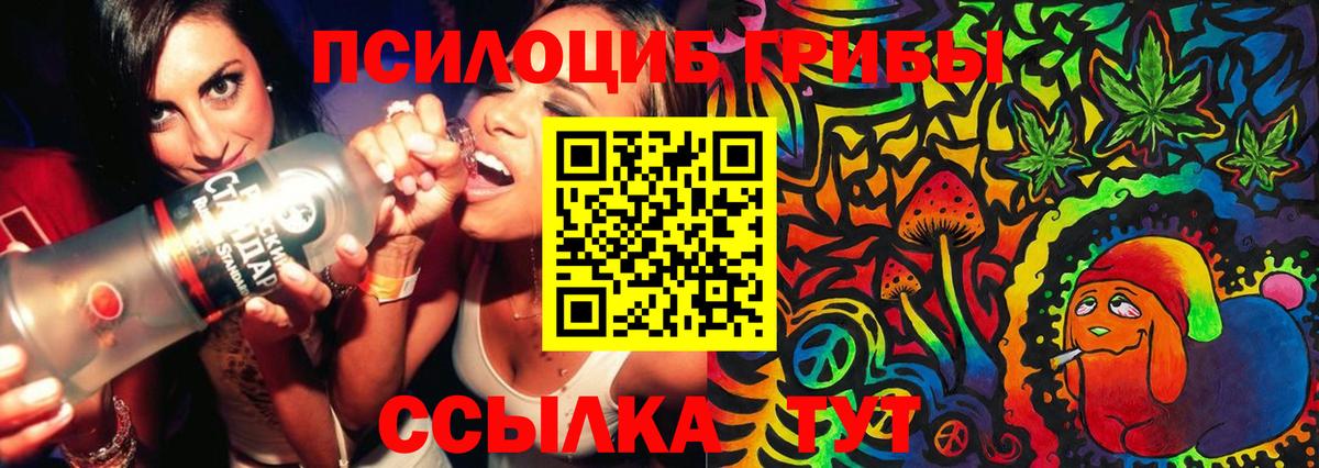 Псилоцибиновые грибы мухоморы  Вход с VPN  Галлюциногенные грибы мухоморы  Гатчина 
